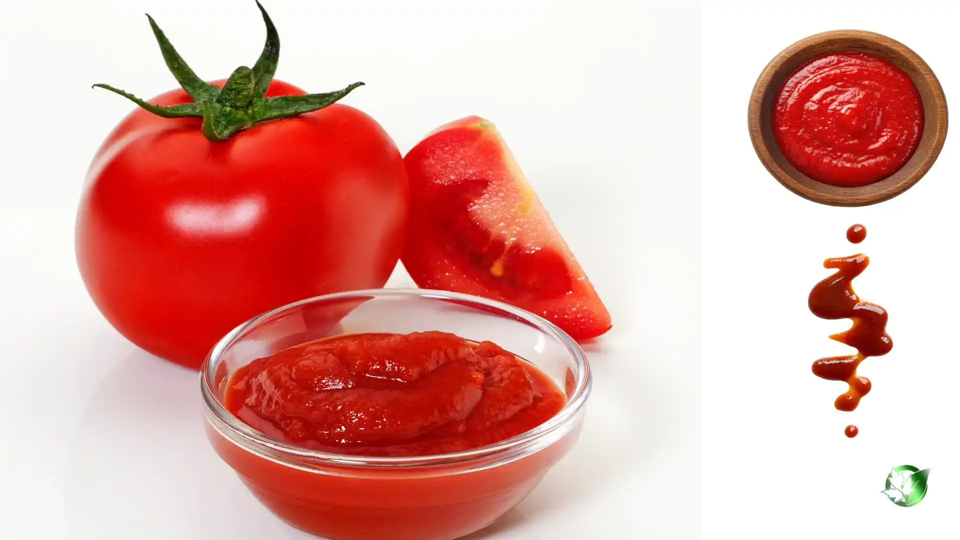 Supply partner evaluation for Tomato Sauce should cover specification, packaging, document package, logistics, and full delivered cost.